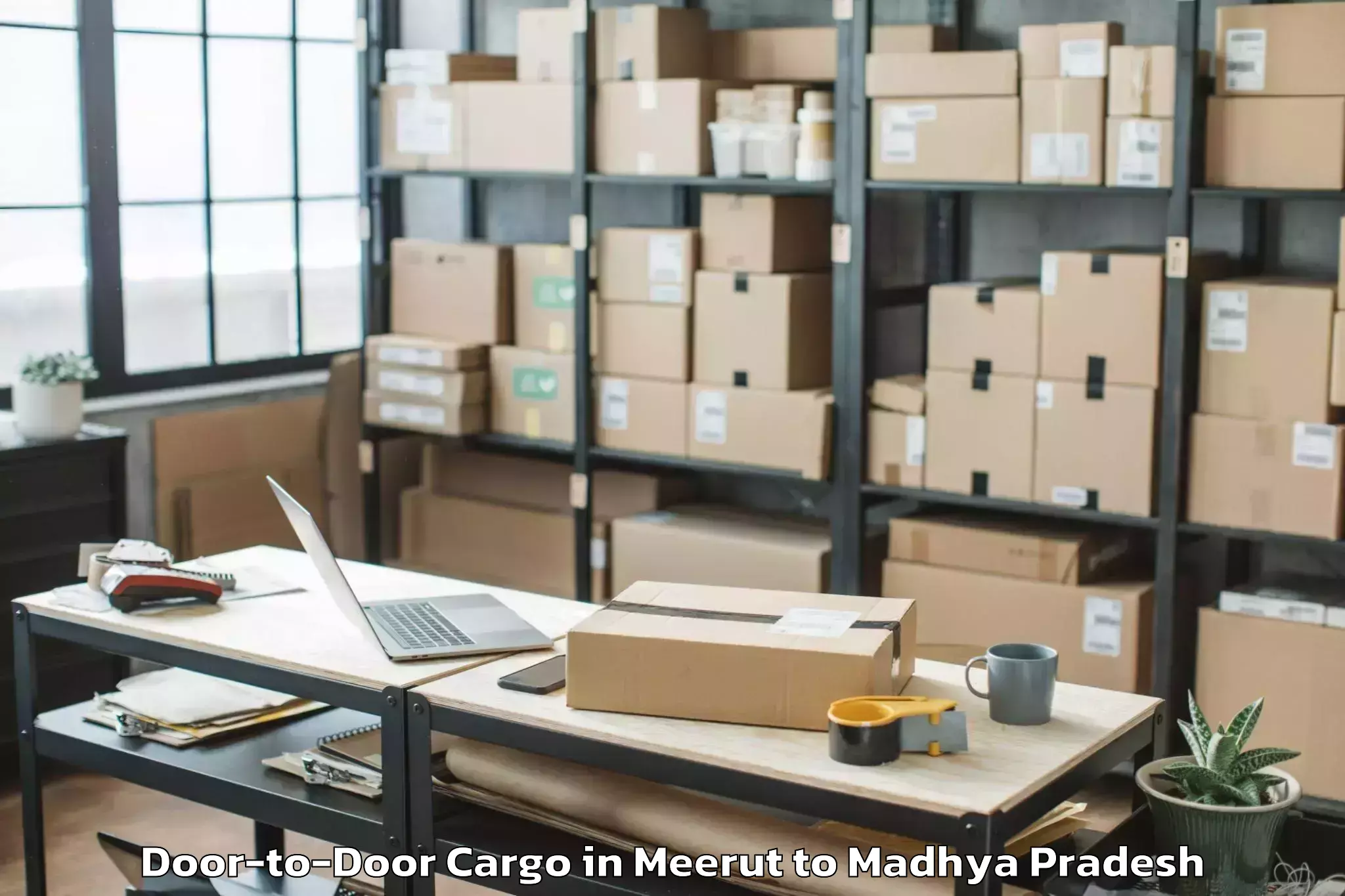 Professional Meerut to Ichhawar Door To Door Cargo